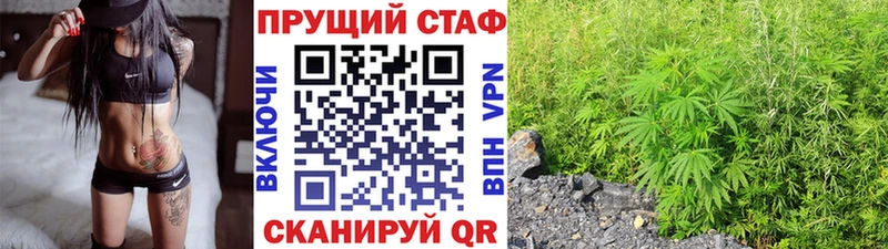 Бошки Шишки Белгород