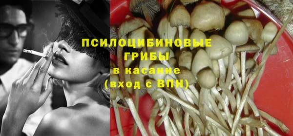 твердый Лабытнанги