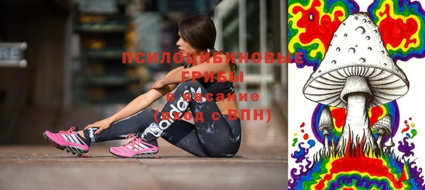 твердый Лабытнанги