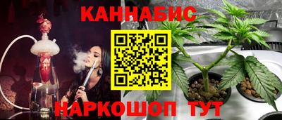 спайс Аргун