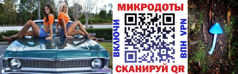 Псилоцибиновые грибы прущие грибы Белгород