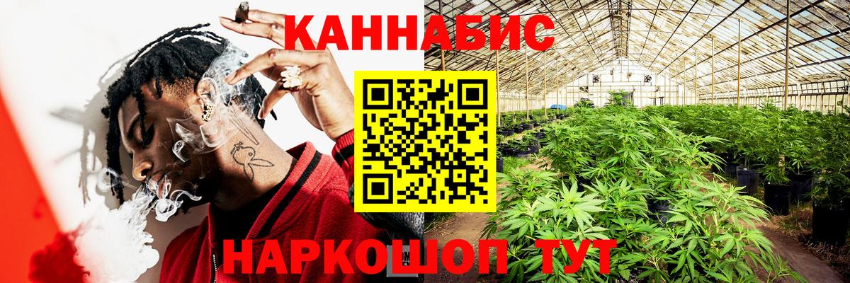 Конопля OG Kush  Каннабис сатива  Белгород 